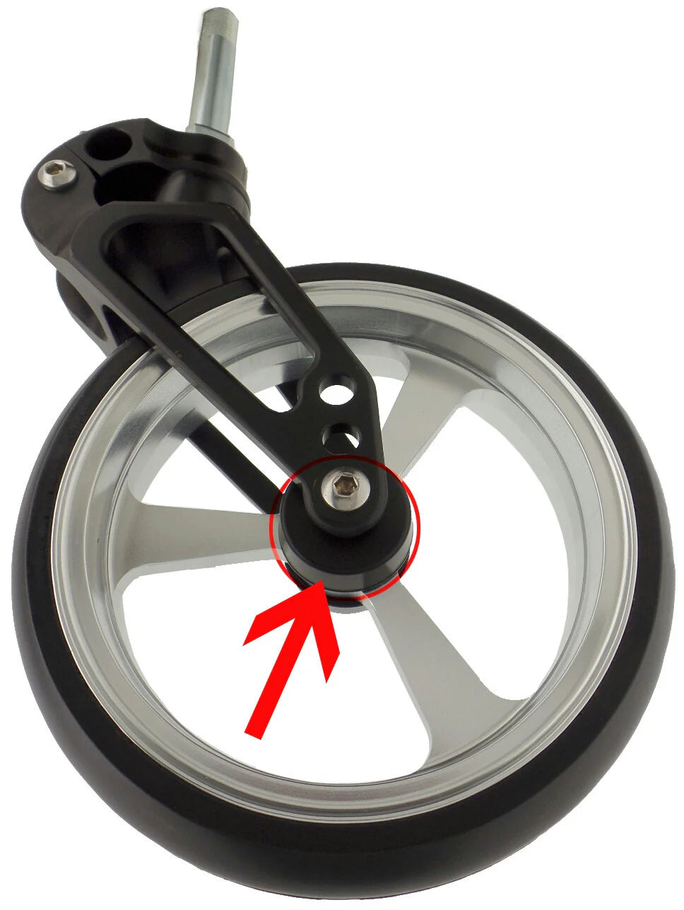 Frog Legs Frog Shields 4er Set
